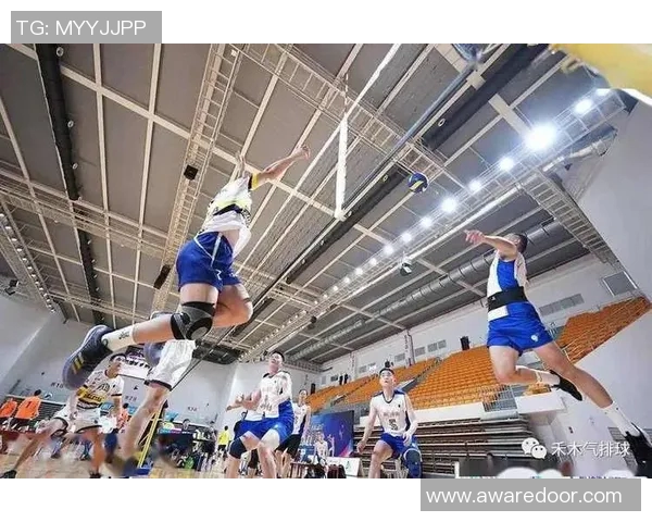 南京排球队引领热议新风潮探讨节奏变革与竞技未来